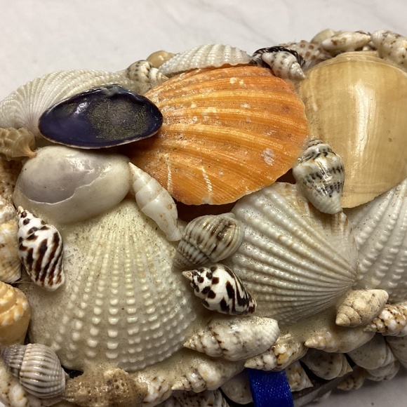 Sea shell box. Trinkets jewelry. - Picture 9 of 9